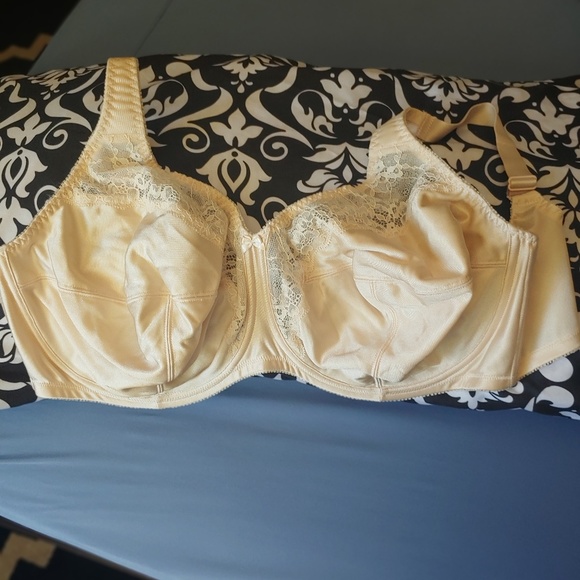 Cabernet Other - Cabernet nude bra
